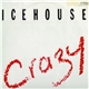 Icehouse - Crazy